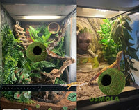 Reptile Terrarium Moss Cave Hide for Snakes and Geckos