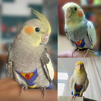 Reusable Bird Diaper Soft Fabric Flight Suit