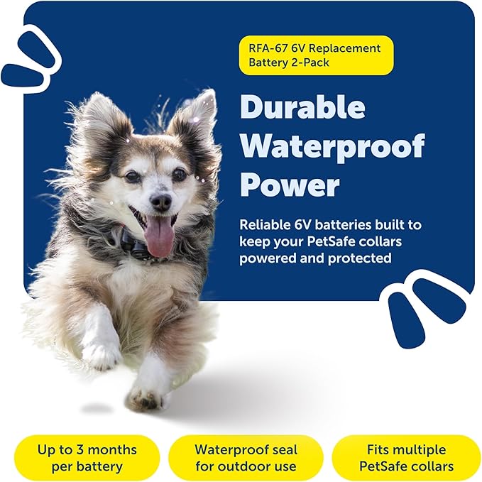 Two-pack RFA-67 6V replacement battery set, perfect for outdoor pet collars and fences.