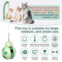 Rolling Ball Cat Toy for Interactive Indoor Play