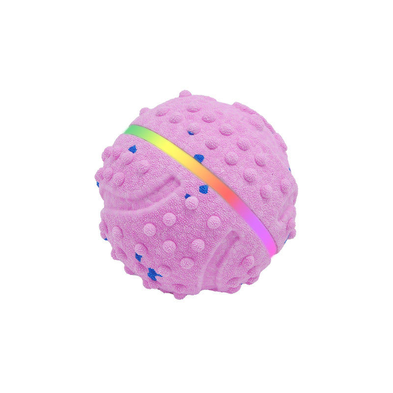 Rolling Dog Toy Ball for Chasing and Fetching Activities