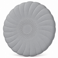Circular inflatable stability cushion designed for indoor workouts.
