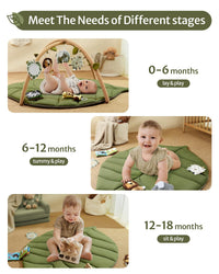 Safari themed baby activity gym with overhead arches
