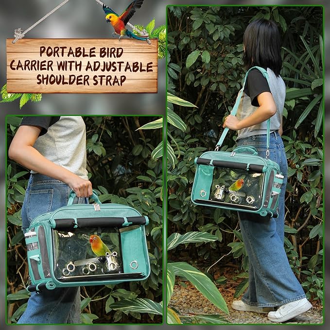 airline-approved bird carrier for safe transport of small birds