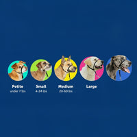 Safe and adjustable dog headcollar for daily walks