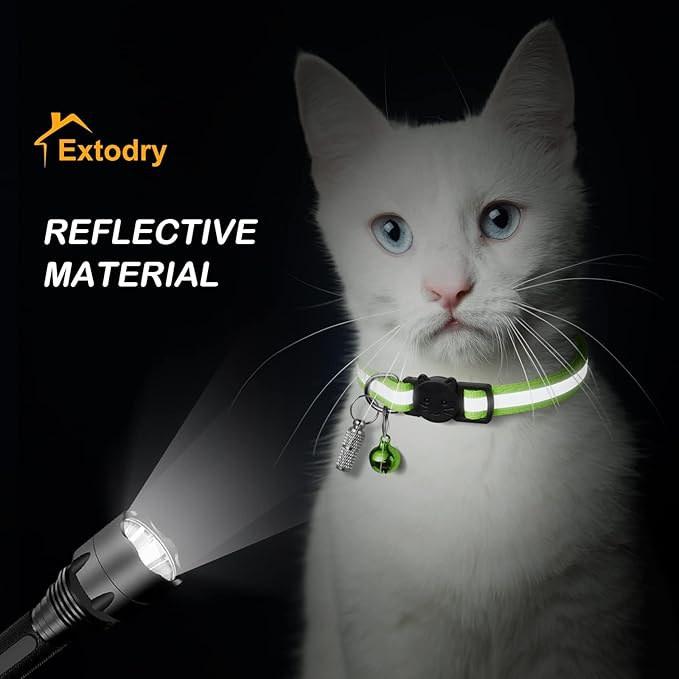 safety breakaway kitten collar adjustable design.