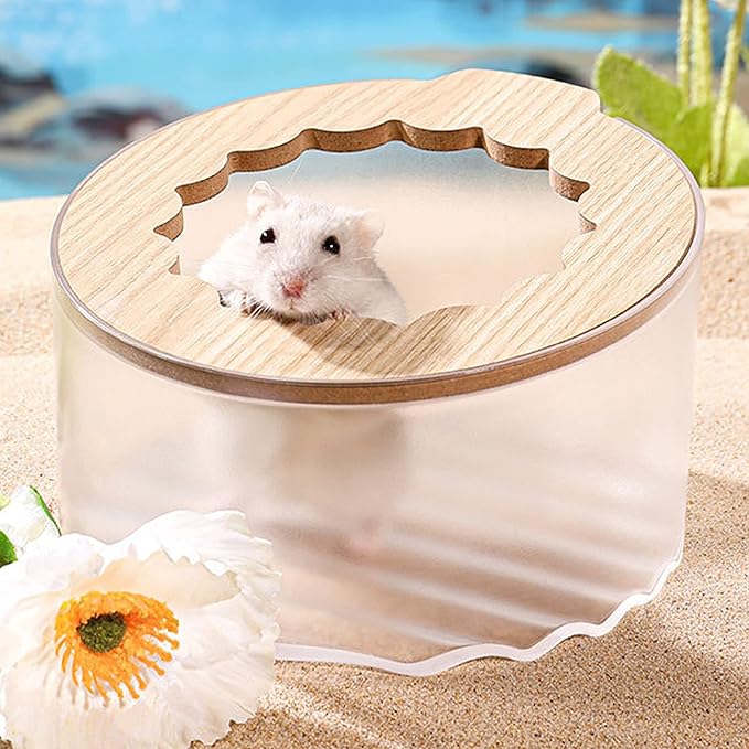 Front view of hamster sand bath box for small animals