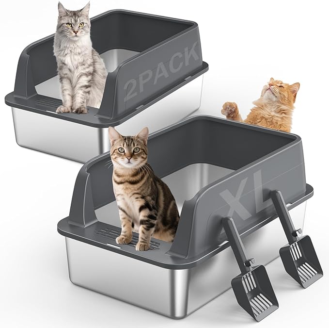 Cat litter box with lid for home pet area