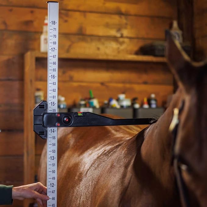 Silver measuring stick for stable use