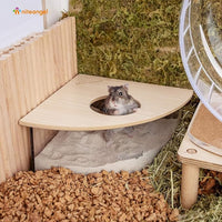Small Animal Sand Bath Box for Mice and Gerbils