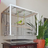 Cage perch accessory for budgies cockatiels and conures