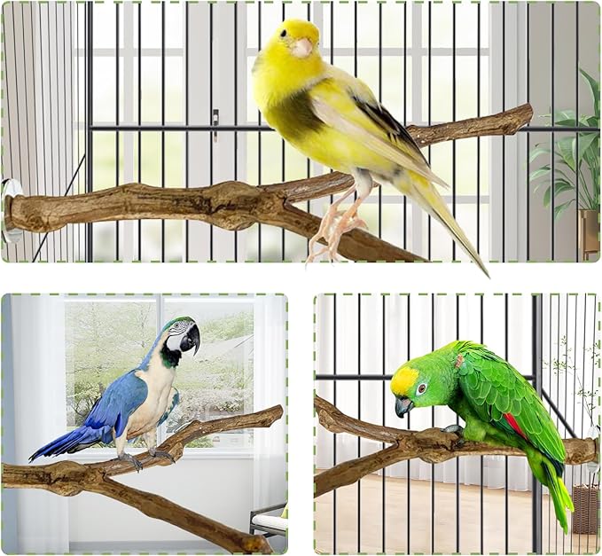 Bird cage setup with natural wood perches