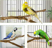 Bird cage setup with natural wood perches