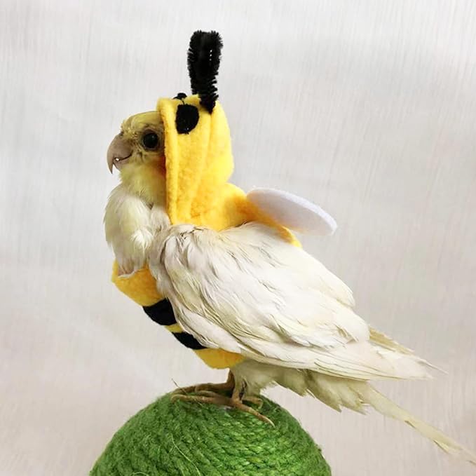 Small Bird Cosplay Outfit Honeybee Costume