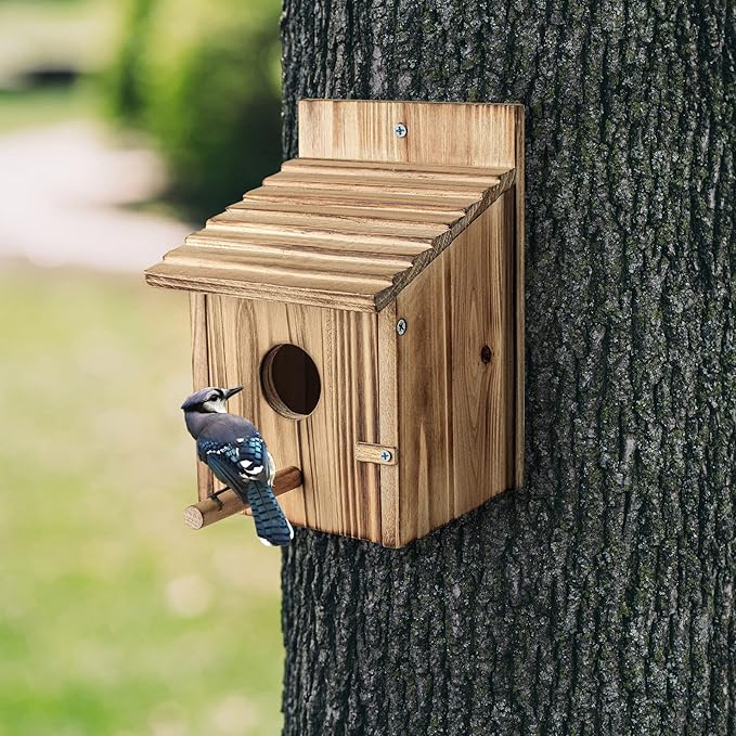 compact small bird nesting house for outdoor wildlife