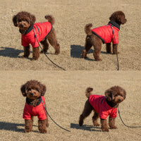 Small Dog Wearing An Orange Winter Jacket During Outdoor Activity