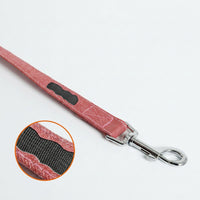 Small dog walking leash for everyday outdoor walks
