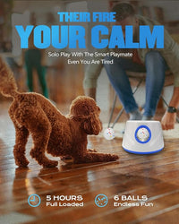 ball launcher for small and medium dogs with 6 ETPU balls