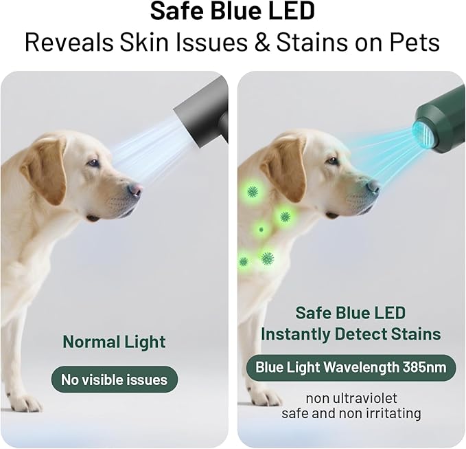 small and medium dog and cat hair dryer with heater