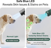 small and medium dog and cat hair dryer with heater