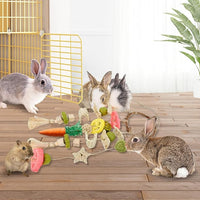 small pet chewing toy for rabbits and chinchillas