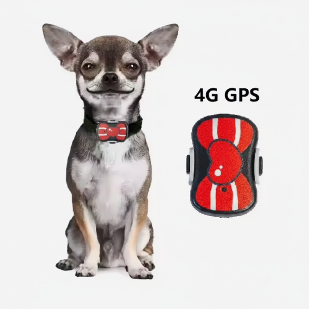 Small pet collar accessory with secure fit