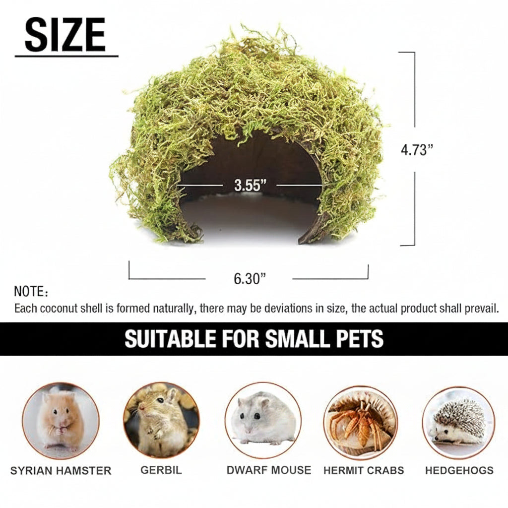 Small Pet Digging Accessory with Easy-to-Clean Sand Bath