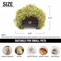 Small Pet Digging Accessory with Easy-to-Clean Sand Bath