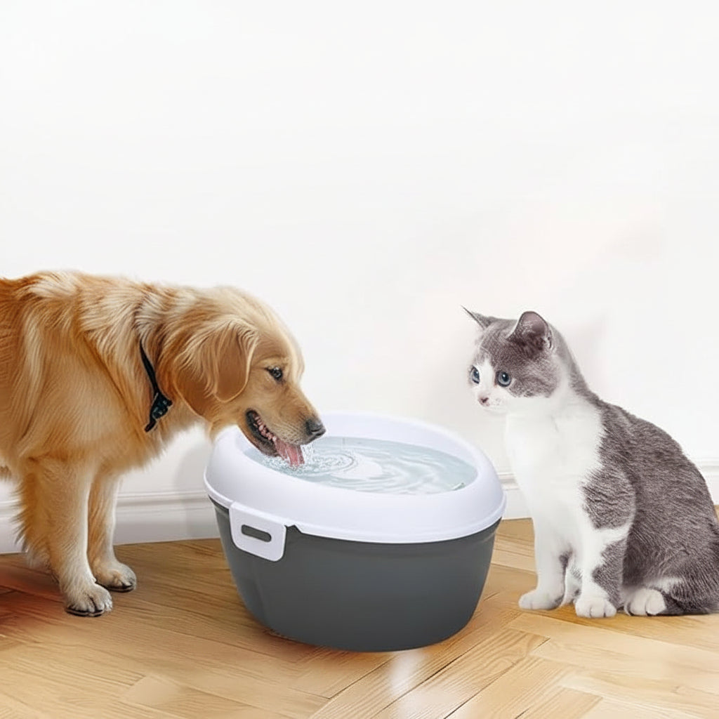 Small Pet Water Dispenser Suitable For Cats And Small Animals