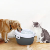 Small Pet Water Dispenser Suitable For Cats And Small Animals