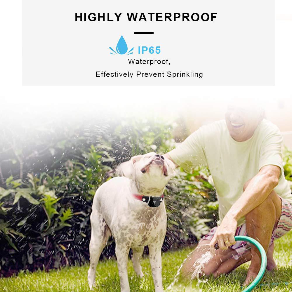 Smart pet location tracker designed for dogs