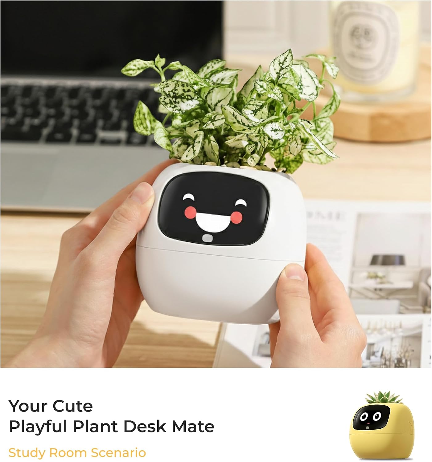 Smart planter displayed on a neat office desk with a small indoor plant