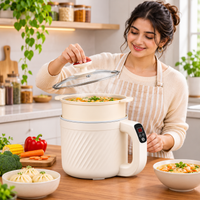 portable electric cooker for rice and noodles