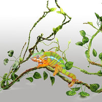 Snake Chameleon Plant Vines Terrarium Decoration