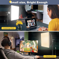 LED Softbox Lighting Kit with Stands, Bulbs, and Softbox Covers