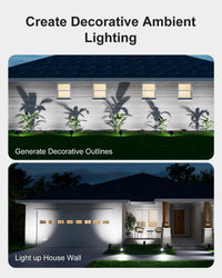 Waterproof solar LED floodlights highlighting a palm tree in the yard