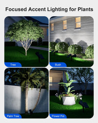 Waterproof solar spotlights with adjustable angles for custom outdoor lighting.