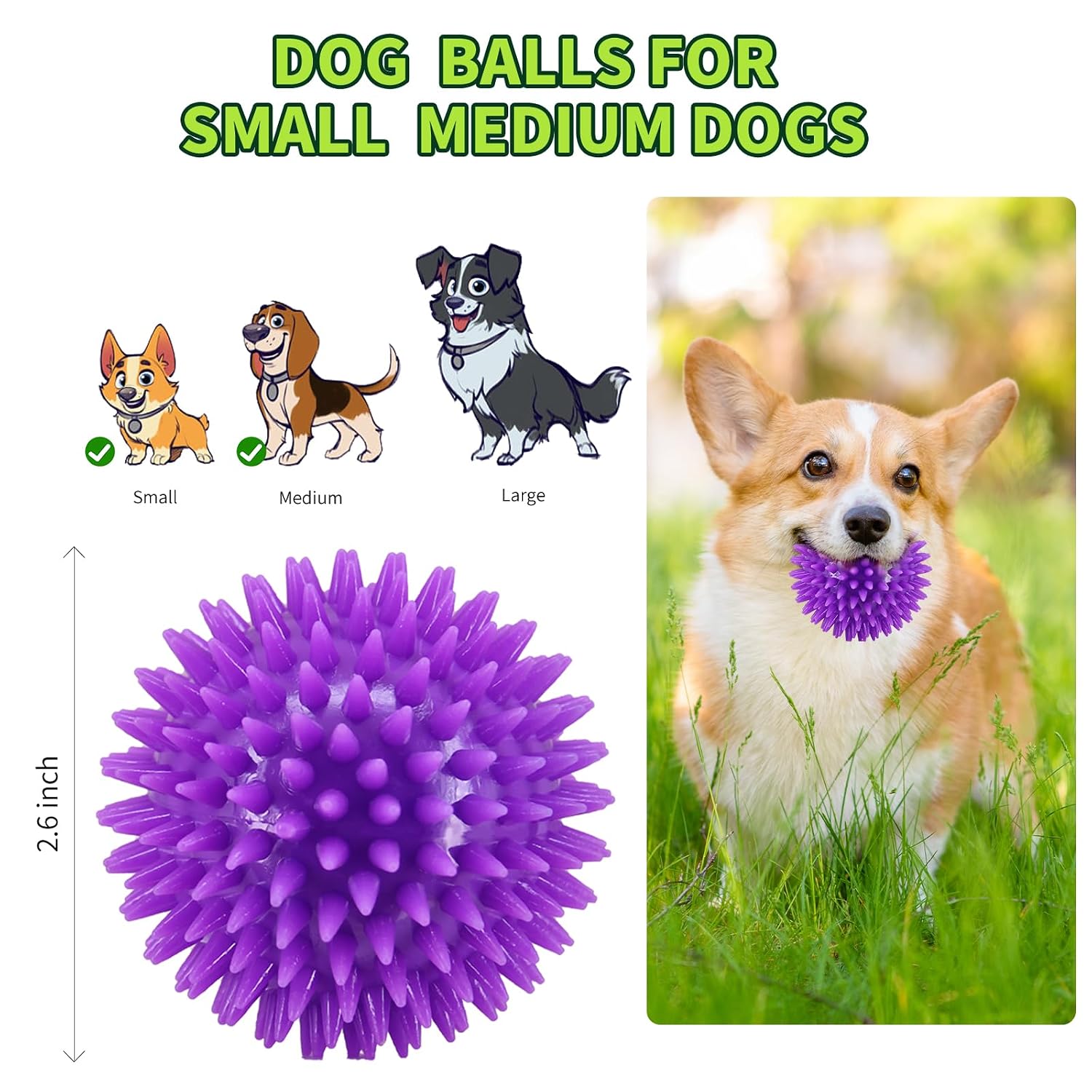 Blue spiky dog ball toy, squeaky interactive toy for daily play and indoor activity