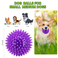 Blue spiky dog ball toy, squeaky interactive toy for daily play and indoor activity