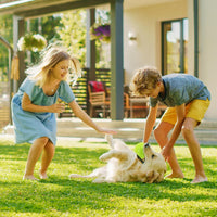 Red spiky dog ball toy, interactive squeaky toy for puppies and dogs
