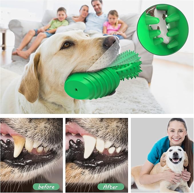 Squeaky sound feature on a textured dog play toy