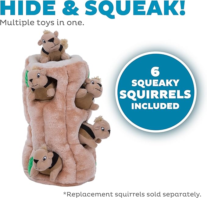 squeaky squirrel dog toy set for interactive play