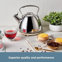 Stainless steel kettle for preparing tea, coffee, and hot water