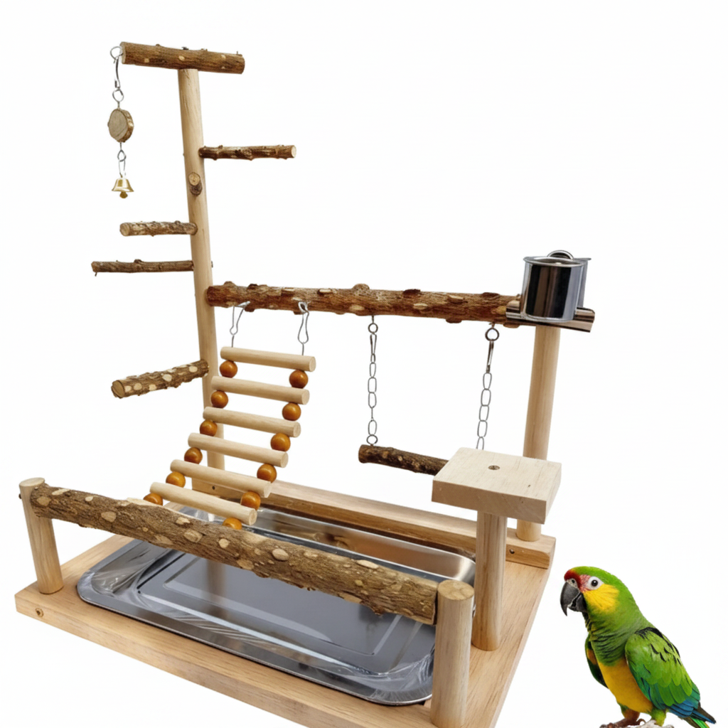 Stainless Steel Parrot Stand for Indoor Bird Activities