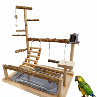 Stainless Steel Parrot Stand for Indoor Bird Activities