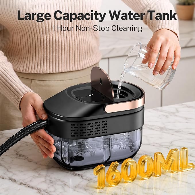 Handheld steam cleaner displayed with 10 cleaning accessories