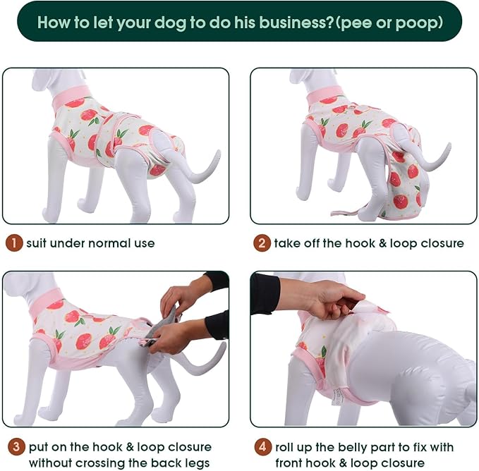 Stretch-style dog bodywear outfit