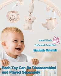 Stroller Hanging Toy With Clip On Attachment