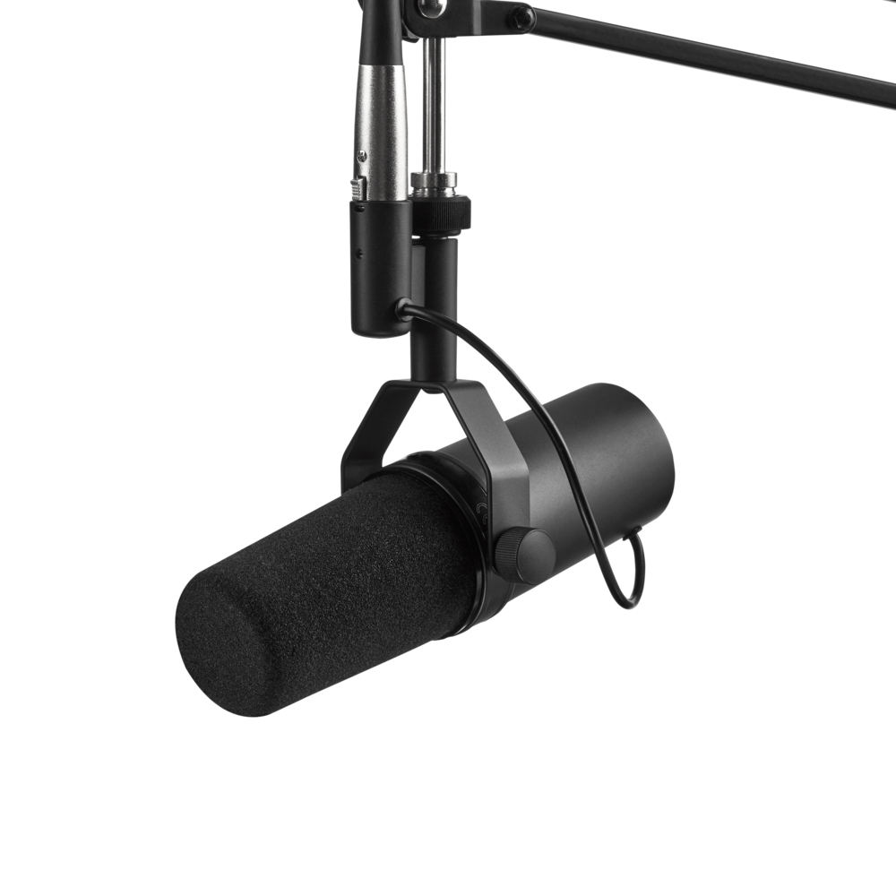 Studio desk dynamic microphone setup