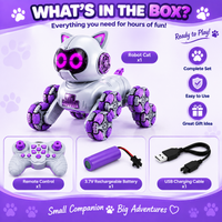 Stunt robot cat toy with interactive movements